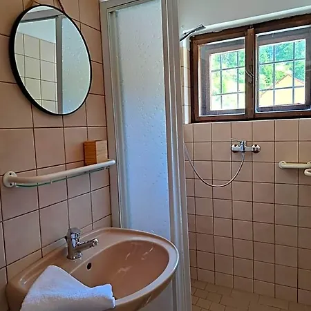 U Baresu Gasthof Náchod
